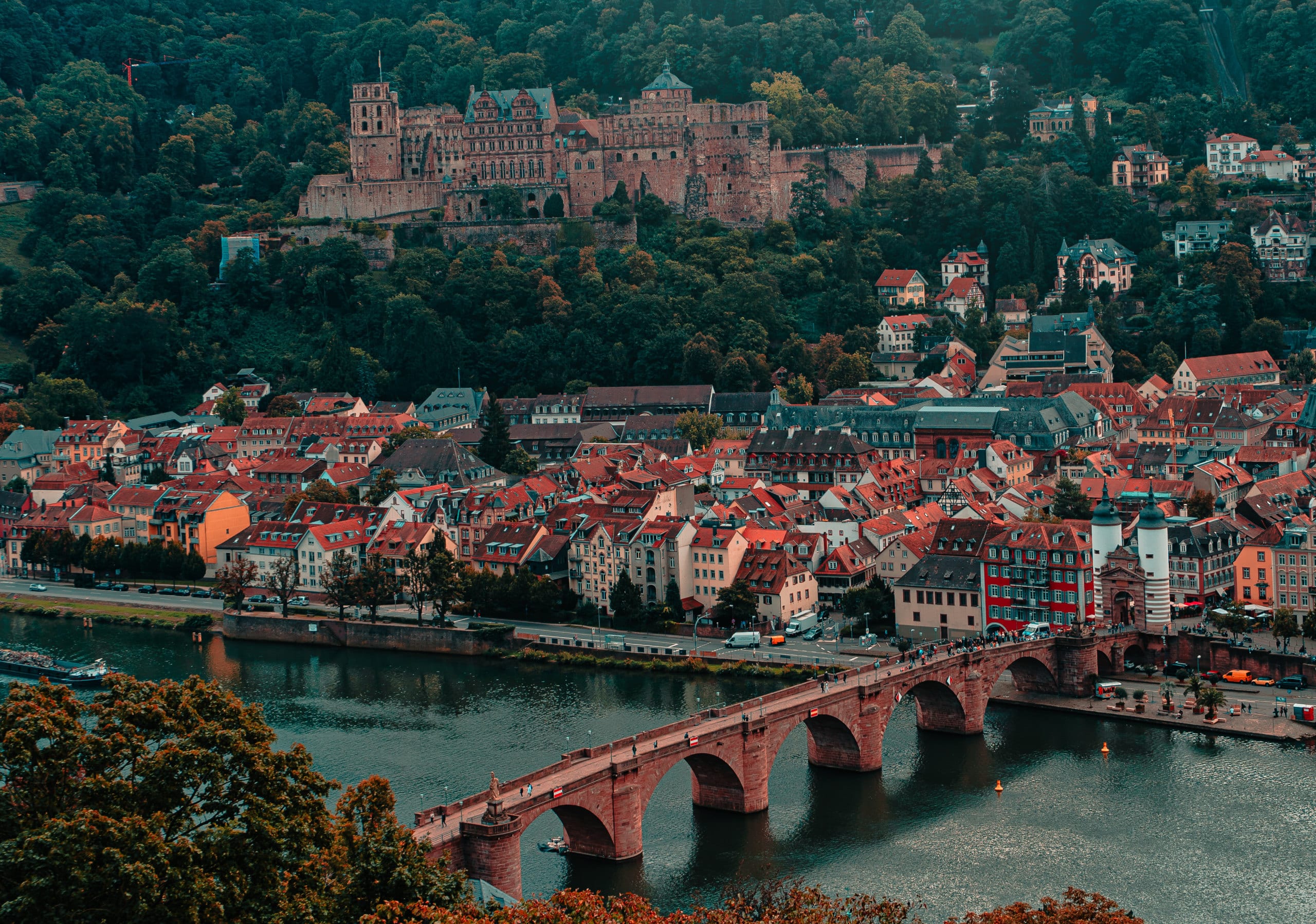 Quantenheilung Heidelberg