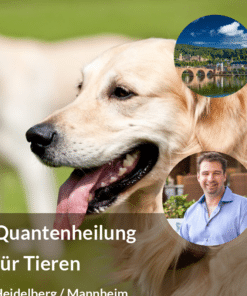 Matrix-Inform Quantenheilung für Tiere in Heidelberg / Mannheim 25.07.2026